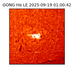 gong - 2025-09-19T01:00:42