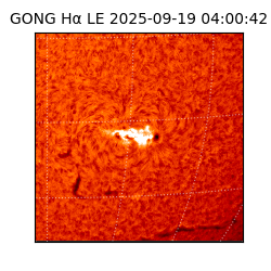 gong - 2025-09-19T04:00:42