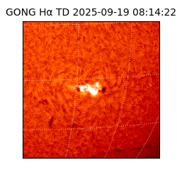 gong - 2025-09-19T08:14:22