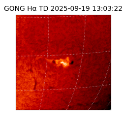 gong - 2025-09-19T13:03:22