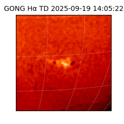 gong - 2025-09-19T14:05:22