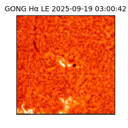 gong - 2025-09-19T03:00:42