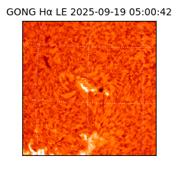 gong - 2025-09-19T05:00:42