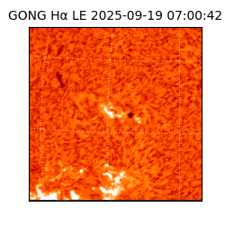 gong - 2025-09-19T07:00:42