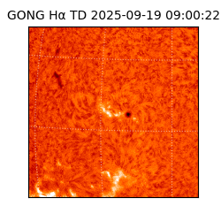 gong - 2025-09-19T09:00:22