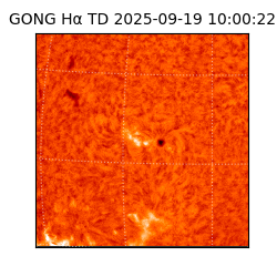 gong - 2025-09-19T10:00:22