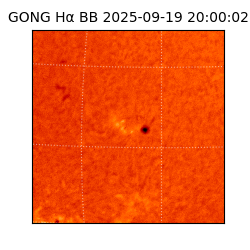 gong - 2025-09-19T20:00:02