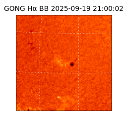 gong - 2025-09-19T21:00:02