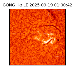 gong - 2025-09-19T01:00:42