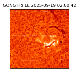 gong - 2025-09-19T02:00:42