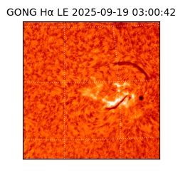 gong - 2025-09-19T03:00:42