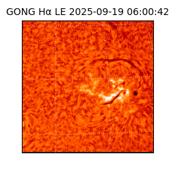 gong - 2025-09-19T06:00:42