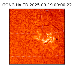 gong - 2025-09-19T09:00:22