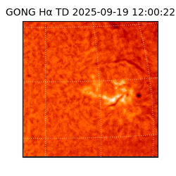 gong - 2025-09-19T12:00:22