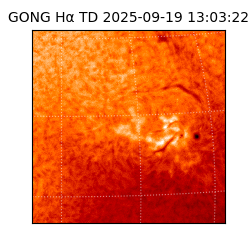 gong - 2025-09-19T13:03:22