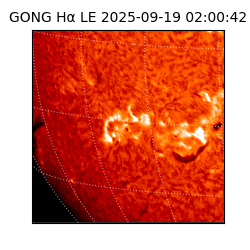 gong - 2025-09-19T02:00:42