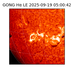 gong - 2025-09-19T05:00:42