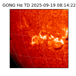 gong - 2025-09-19T08:14:22