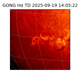gong - 2025-09-19T14:05:22