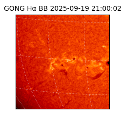 gong - 2025-09-19T21:00:02