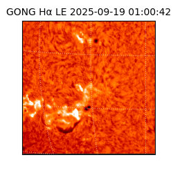 gong - 2025-09-19T01:00:42