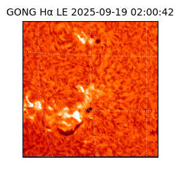 gong - 2025-09-19T02:00:42