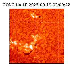 gong - 2025-09-19T03:00:42