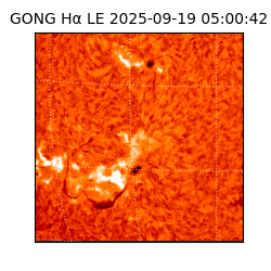 gong - 2025-09-19T05:00:42