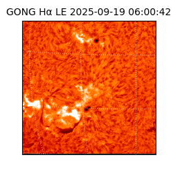 gong - 2025-09-19T06:00:42