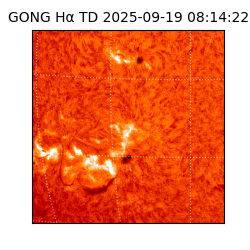 gong - 2025-09-19T08:14:22
