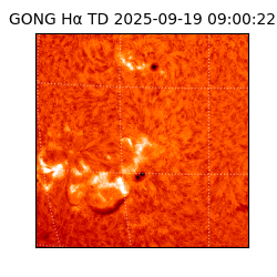 gong - 2025-09-19T09:00:22