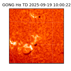 gong - 2025-09-19T10:00:22