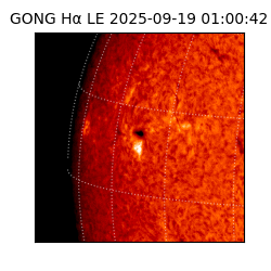 gong - 2025-09-19T01:00:42