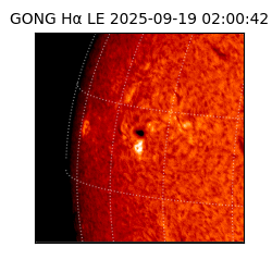gong - 2025-09-19T02:00:42