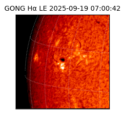 gong - 2025-09-19T07:00:42