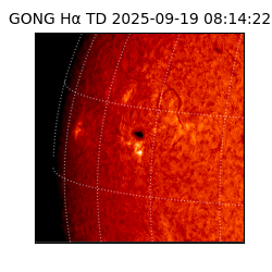 gong - 2025-09-19T08:14:22
