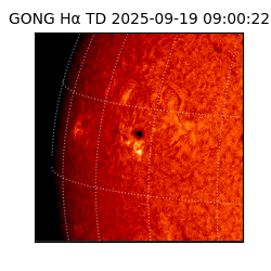 gong - 2025-09-19T09:00:22
