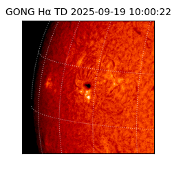 gong - 2025-09-19T10:00:22