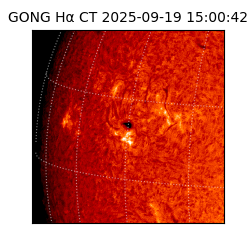 gong - 2025-09-19T15:00:42