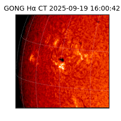 gong - 2025-09-19T16:00:42