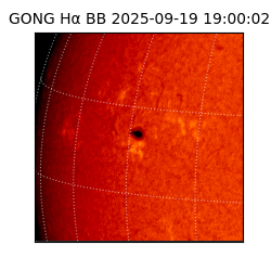 gong - 2025-09-19T19:00:02