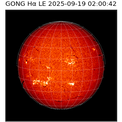 gong - 2025-09-19T02:00:42