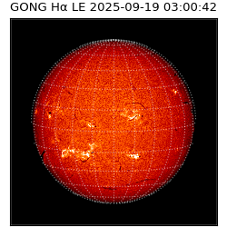 gong - 2025-09-19T03:00:42
