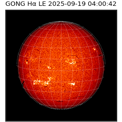 gong - 2025-09-19T04:00:42