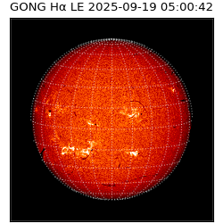 gong - 2025-09-19T05:00:42