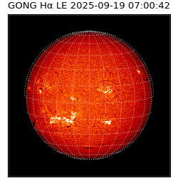 gong - 2025-09-19T07:00:42
