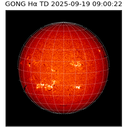 gong - 2025-09-19T09:00:22