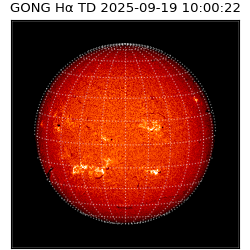 gong - 2025-09-19T10:00:22