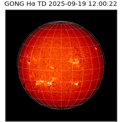 gong - 2025-09-19T12:00:22