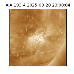 saia - 2025-09-20T23:00:04.843000